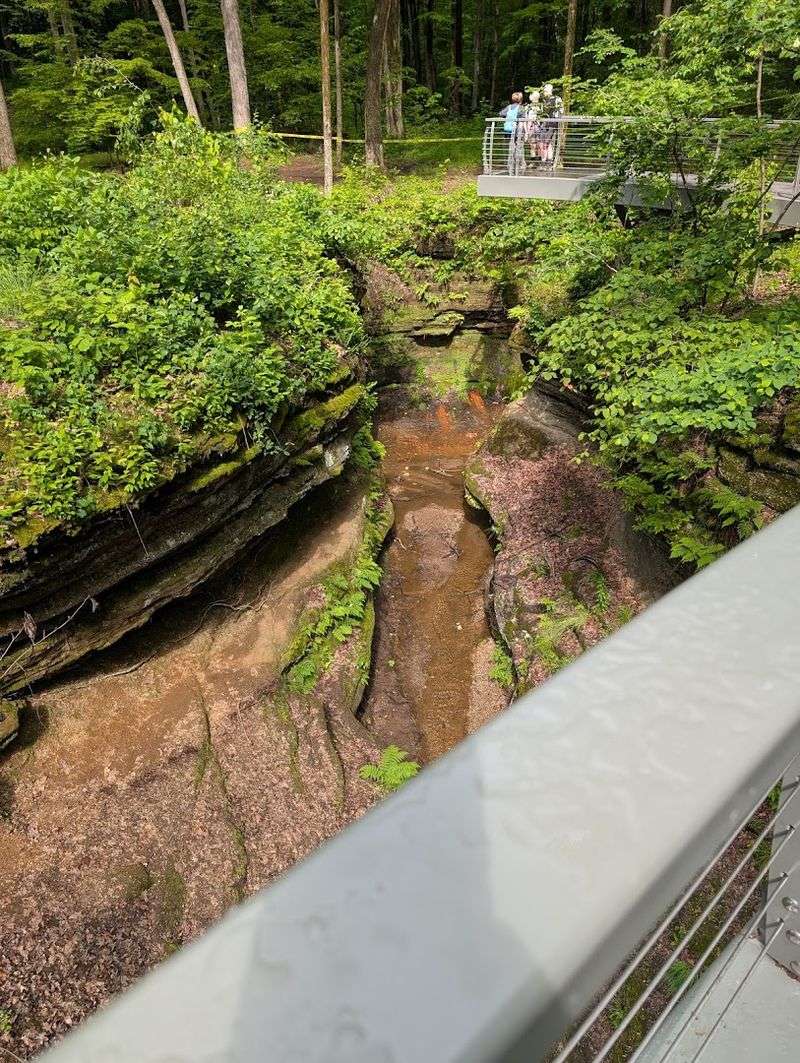 The Famous Glass-Floor Bridge Experience