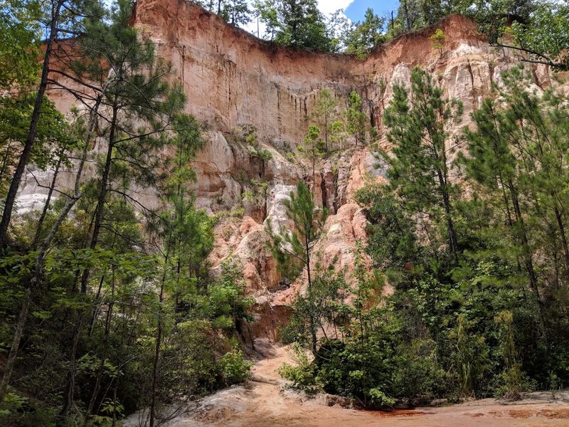 The Fascinating (and Surprising) History Behind the Canyons