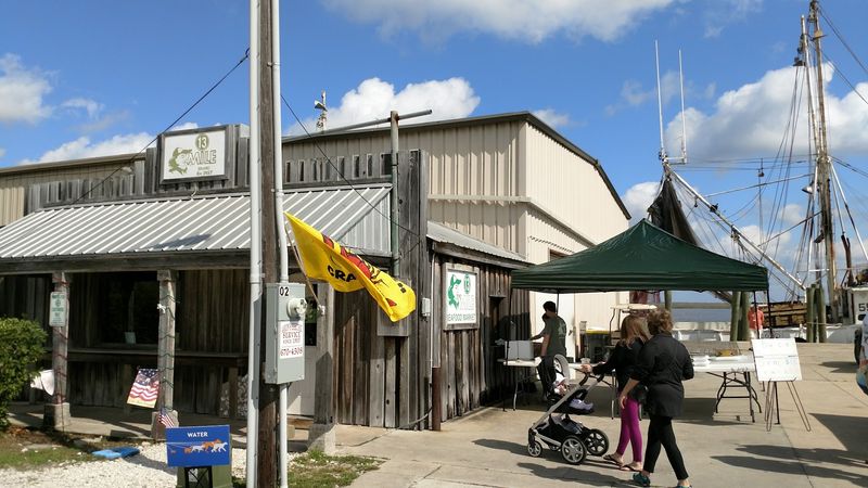 The Florida Seafood Festival: A November Tradition
