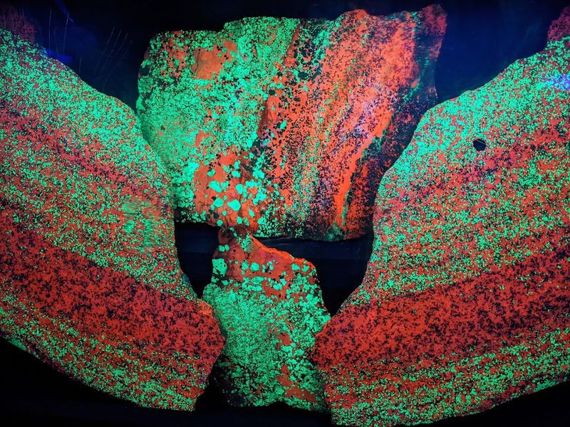 The Fluorescent Mineral Room That Glows in the Dark