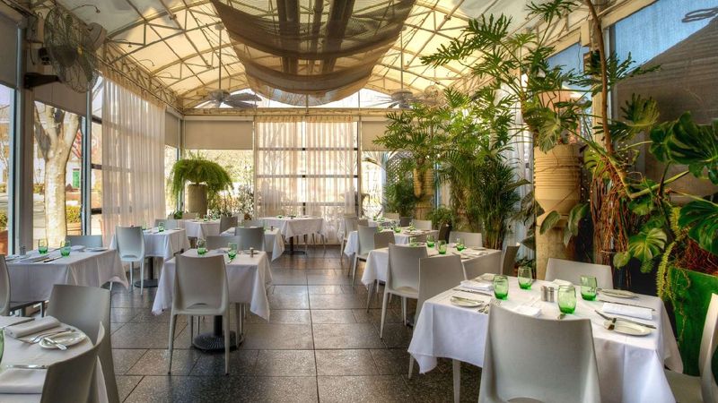 The Frog & The Peach – New Brunswick, New Jersey