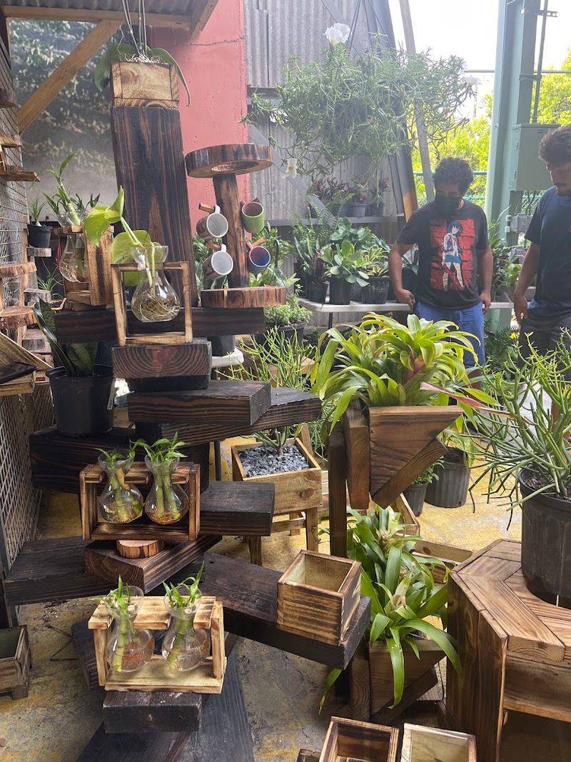 The Garden Section That Surprises Every First-Time Visitor