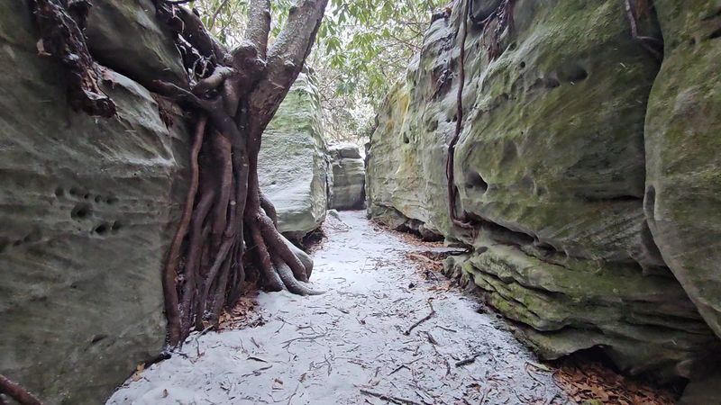 The Geology Behind the Rock Maze Formation