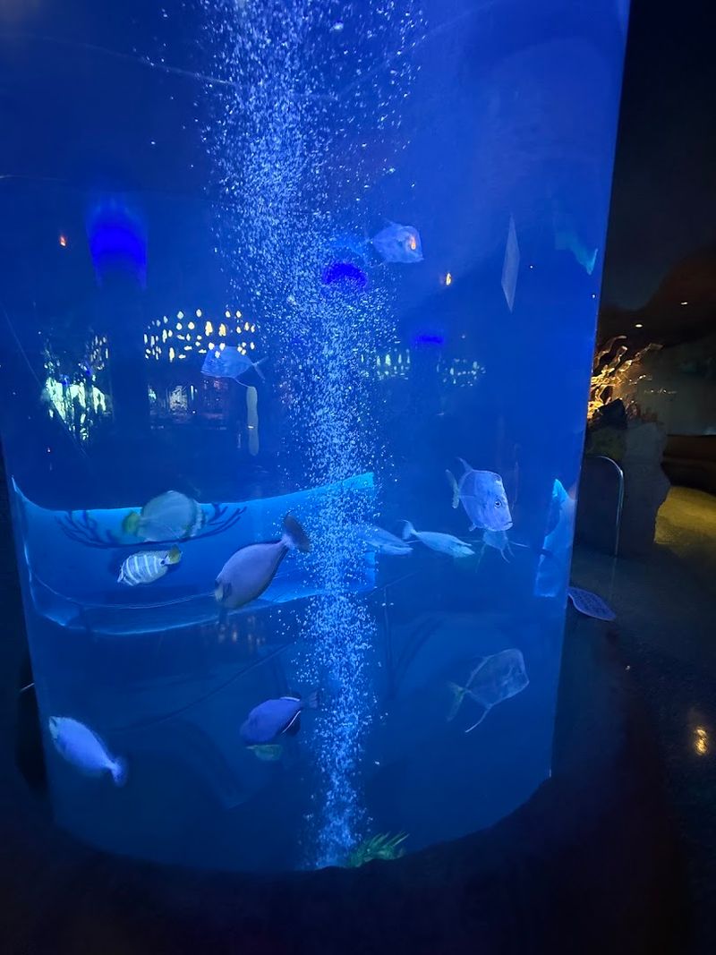 The Giant Fish Tank That Wraps Around Your Table The Giant Fish Tank That Wraps Around Your Table