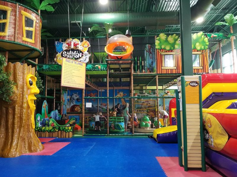 The Giant Multi-Level Jungle Gym