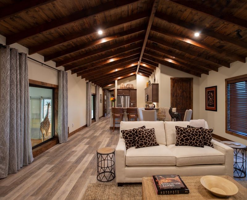 The Giraffe Suite: Sleep Above the Stars of the Show