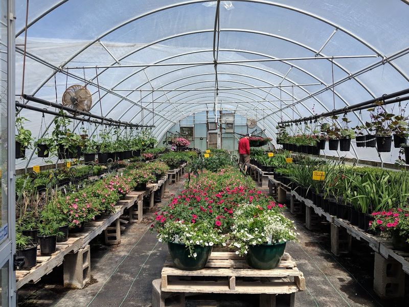 The Greenhouse and Nursery: A Plant Lover's Dream