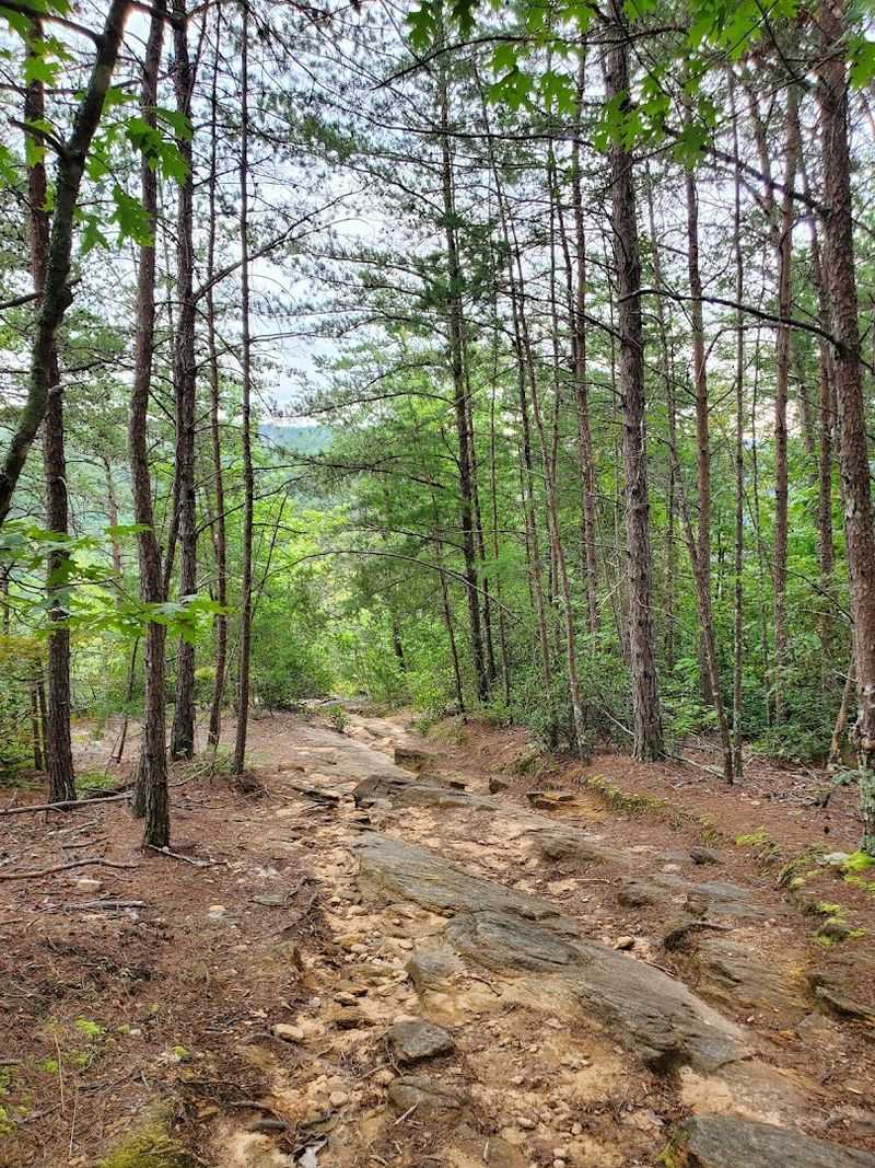 The Hike Down Into the Gorge
