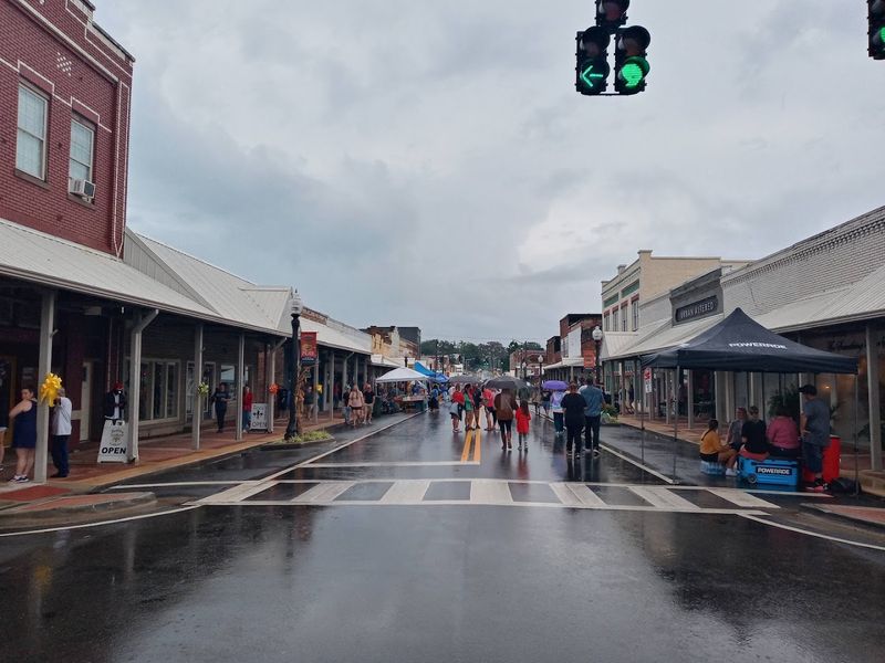 The Historic Downtown District