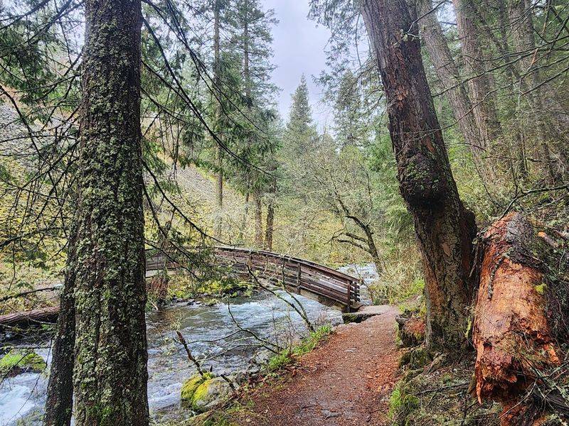 The Iconic 1.25-Mile Loop Trail