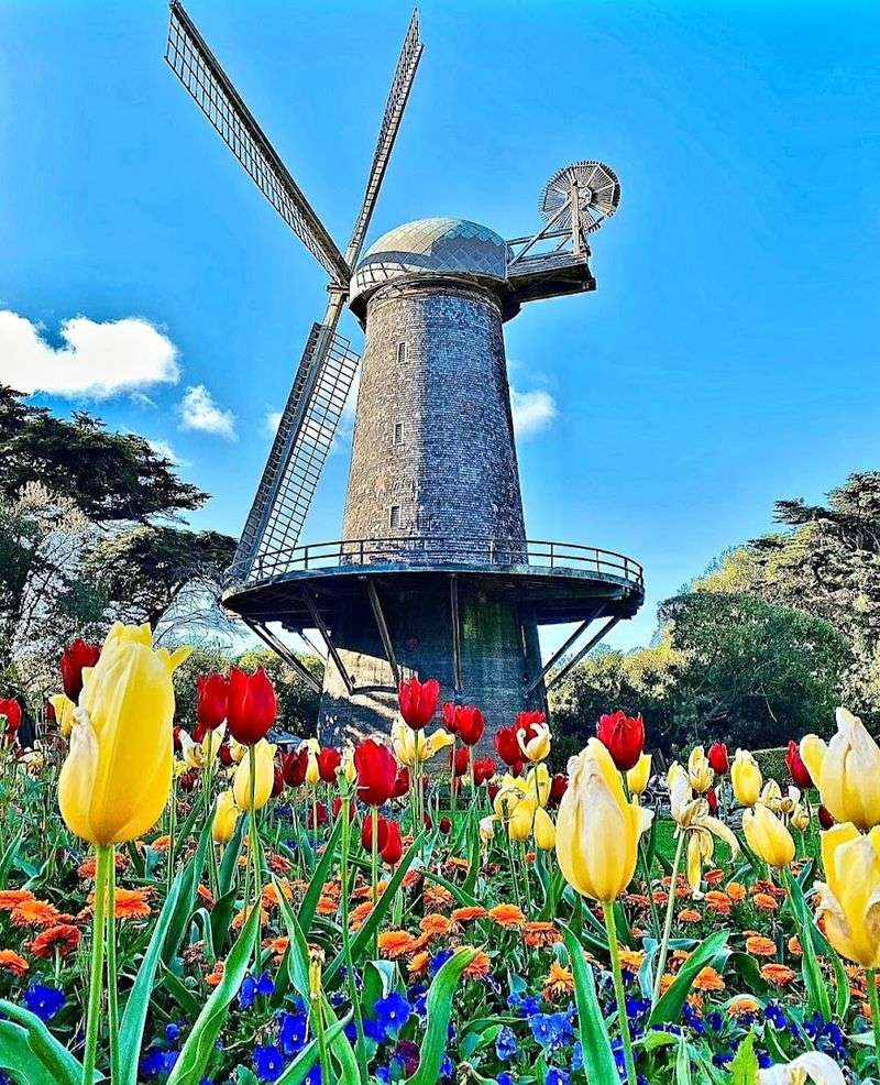 The Iconic Dutch Windmill That Started It All The Iconic Dutch Windmill That Started It All