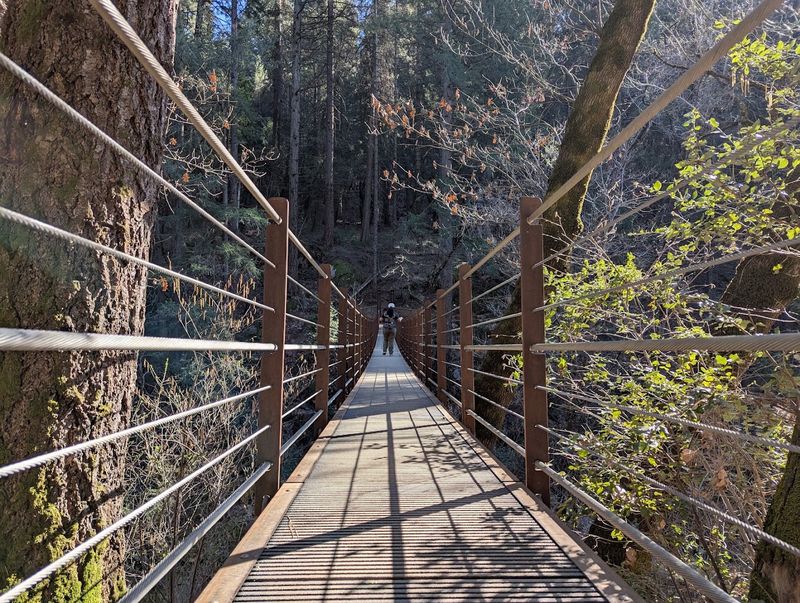 The Iconic Suspension Bridge Over Deer Creek