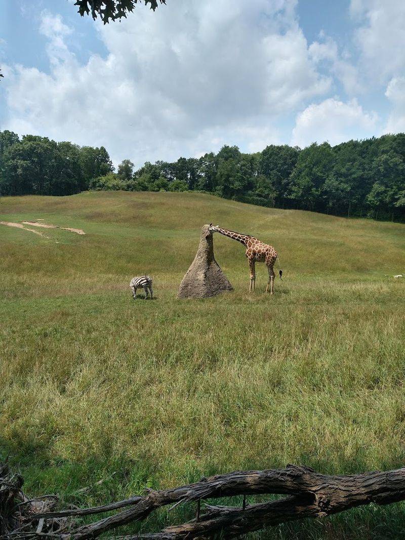 The Jaw-Dropping 433-Acre Grounds That Make It Feel Like a Wildlife Sanctuary