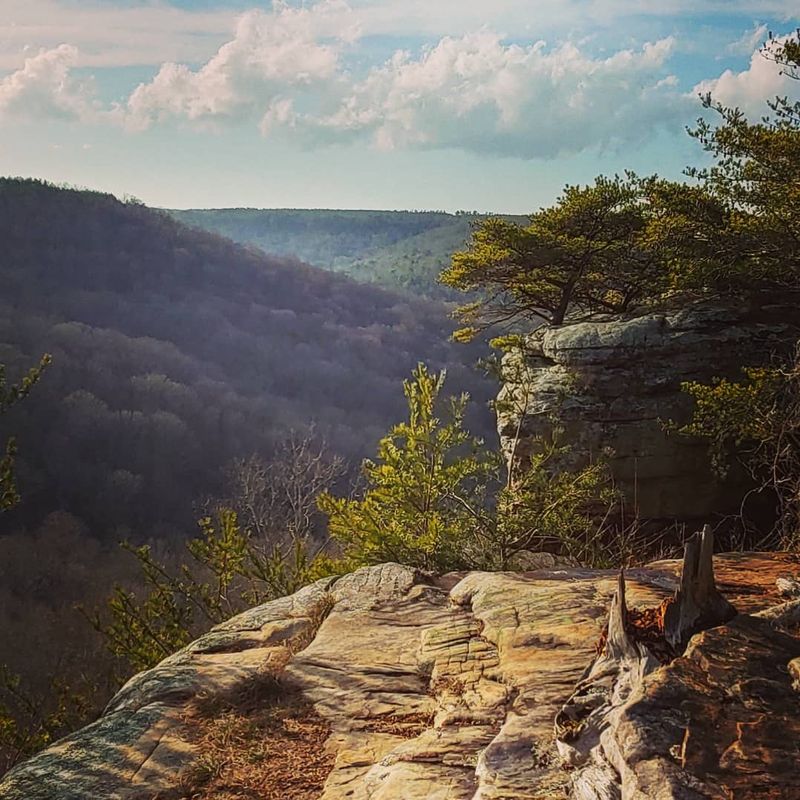 The Jim Lynn Overlook and Its Breathtaking Views