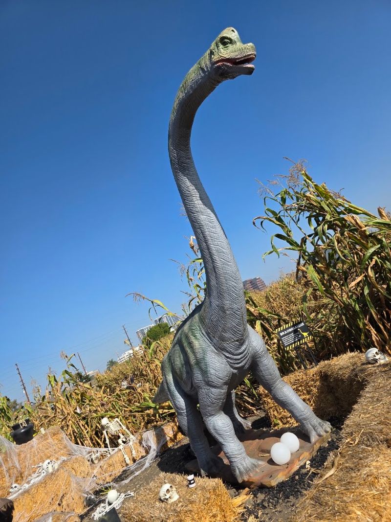 The Jurassic Dinosaur Corn Maze Is a Total Crowd-Pleaser