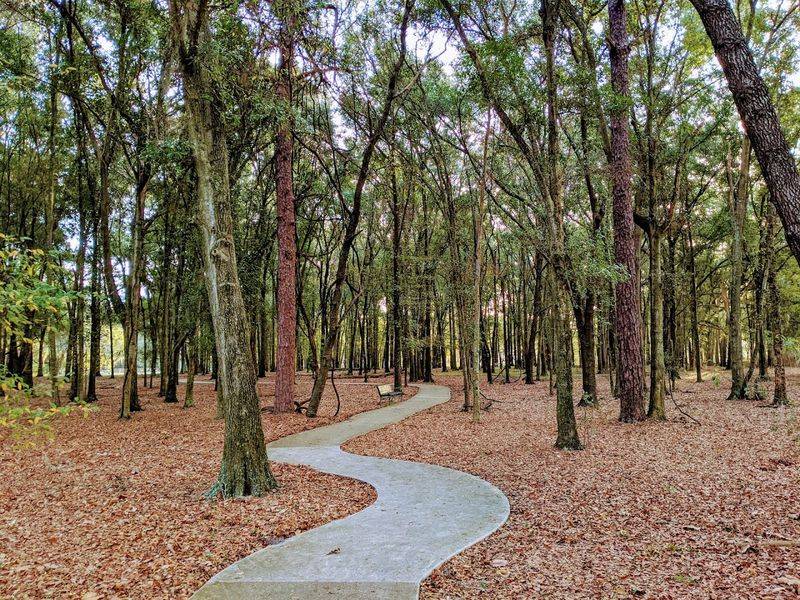 The Labyrinth: A Walk That Clears Your Mind