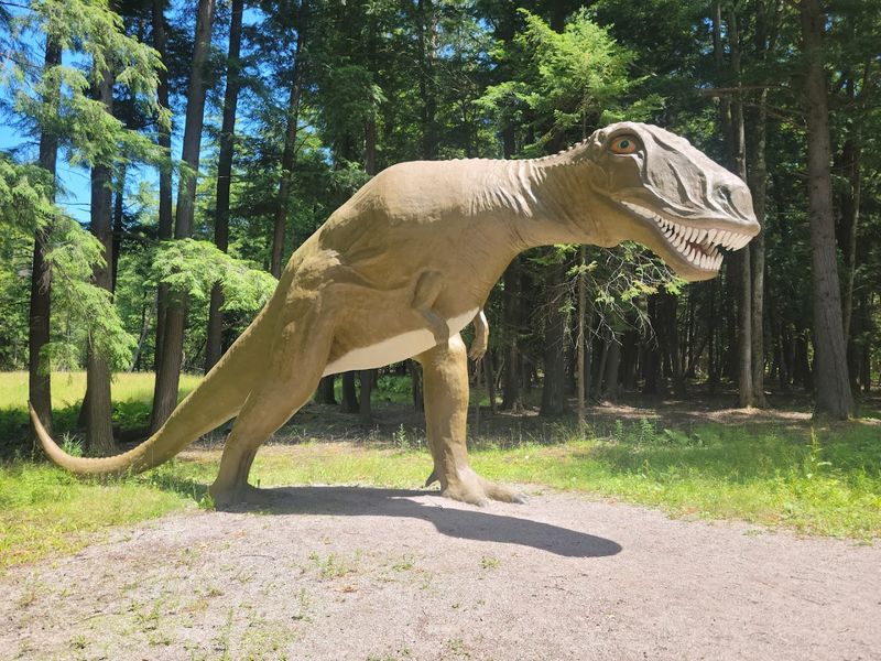 The Legendary Dinosaur Trail Walk The Legendary Dinosaur Trail Walk