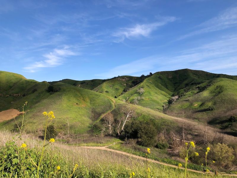 The Legendary Rolling Green Hills That Make Everyone Stop and Stare The Legendary Rolling Green Hills That Make Everyone Stop and Stare