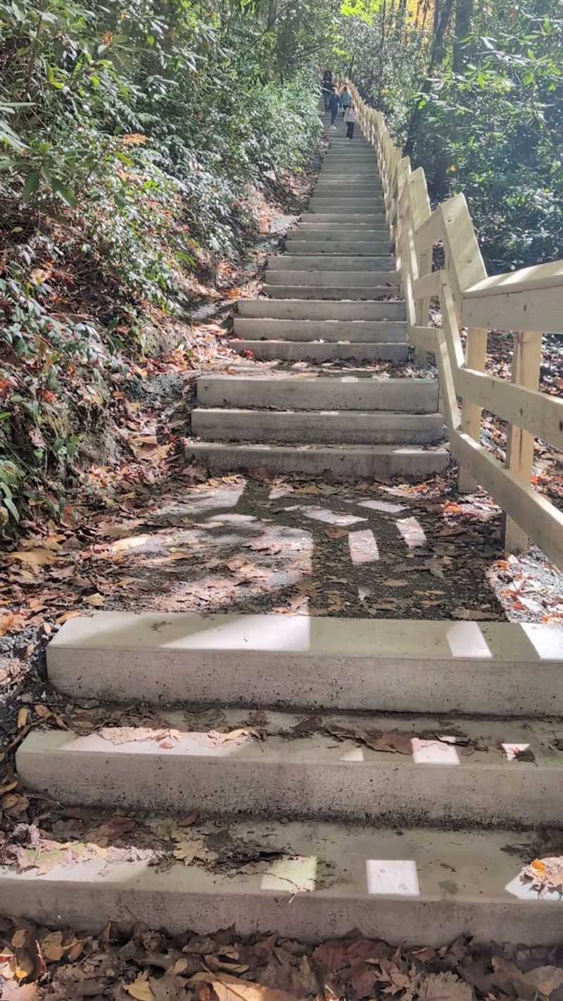 The Legendary Staircase That Starts It All The Legendary Staircase That Starts It All
