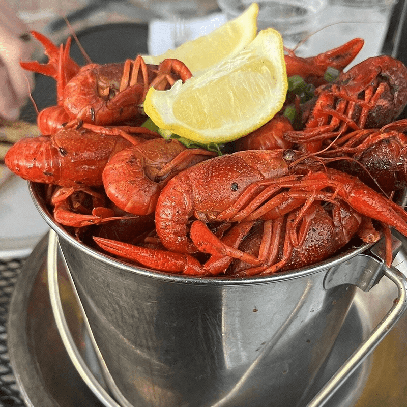 The Lobster That Started All the Buzz