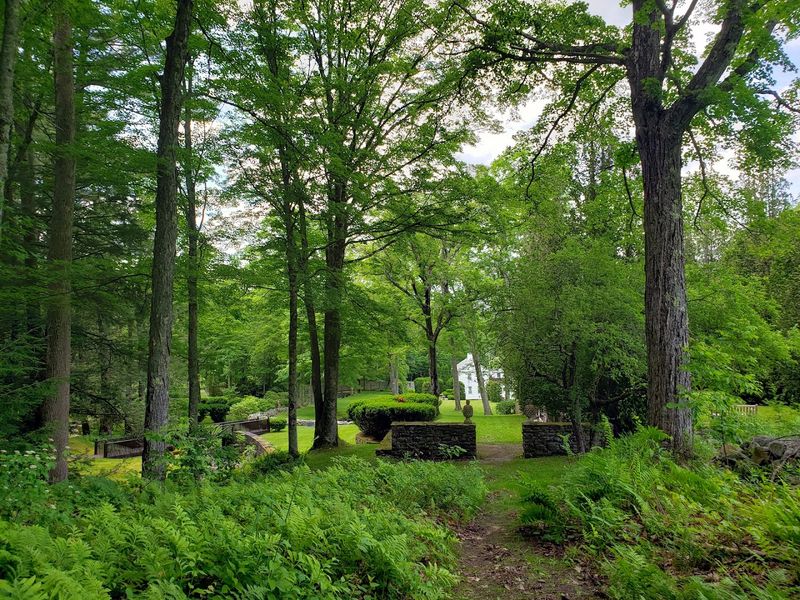 The Loop Trail Through Meadow and Forest