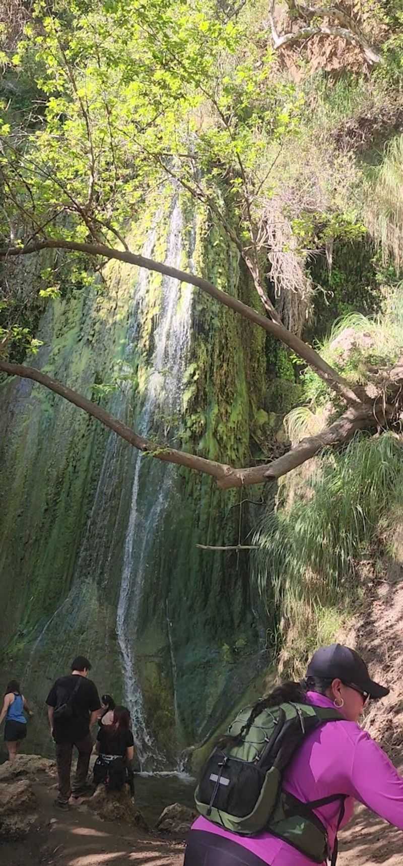 The Lower Falls: Your First Waterfall Reward