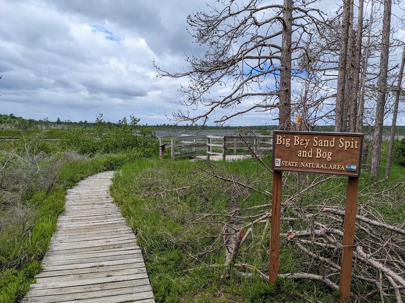 The Magical Boardwalk Through the Bog The Magical Boardwalk Through the Bog