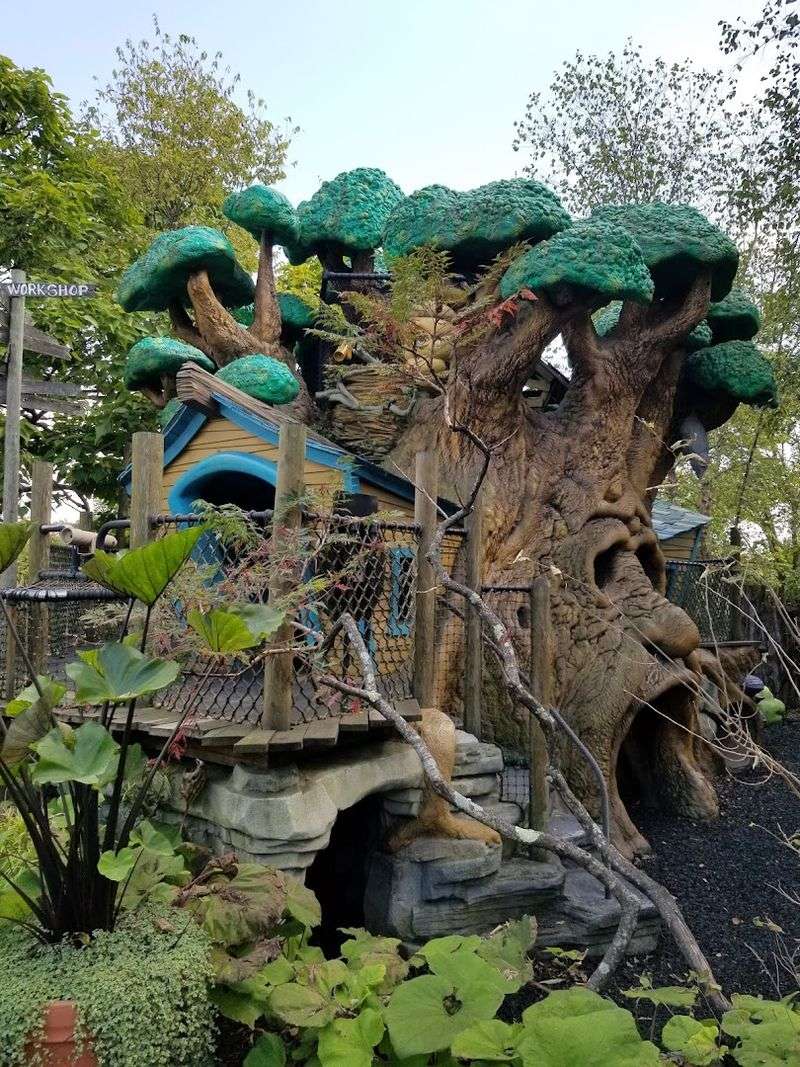 The Magical Treehouse Experience The Magical Treehouse Experience