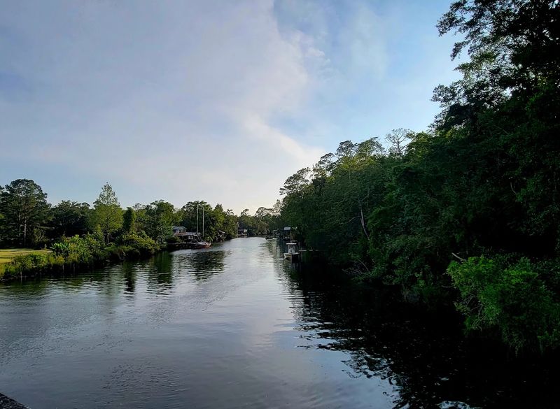The Magnolia River: A Waterway Straight Out of a Dream The Magnolia River: A Waterway Straight Out of a Dream