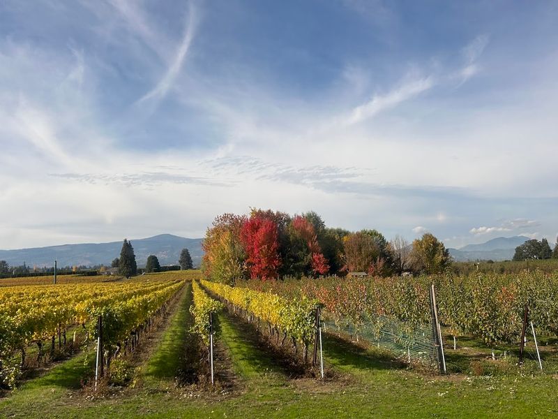 The Midway Stop at The Fruit Company and Mount Hood Winery