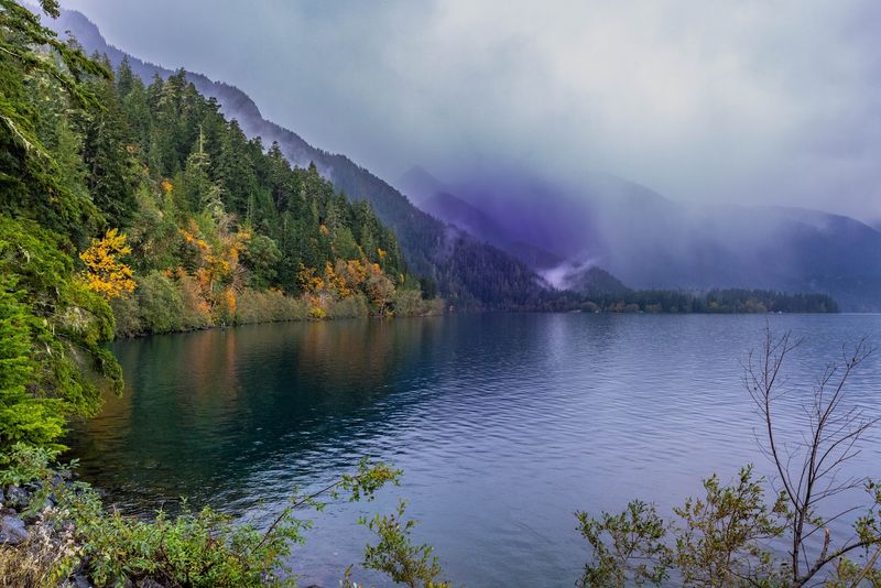 The Moody Magic of Lake Crescent in Fog The Moody Magic of Lake Crescent in Fog