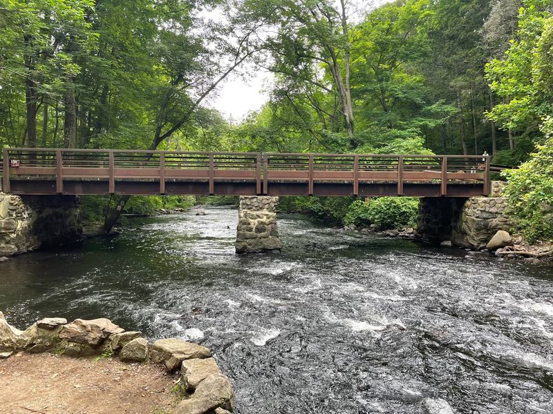 The Musconetcong River Is the Heart of the Park