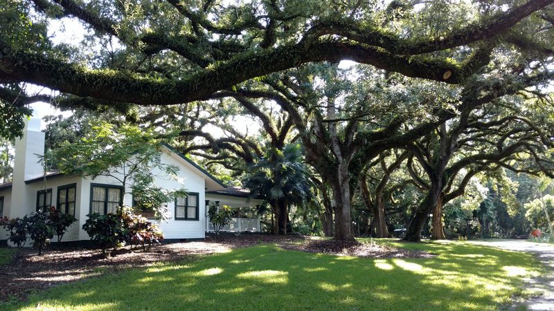 The Museum and Historic Wray Home