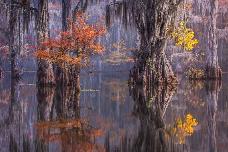 The Mysterious Maze of Bayous and Channels