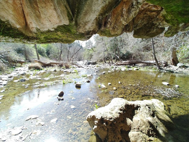 The Natural Bridge: A Bonus Wonder Above the Cave The Natural Bridge: A Bonus Wonder Above the Cave