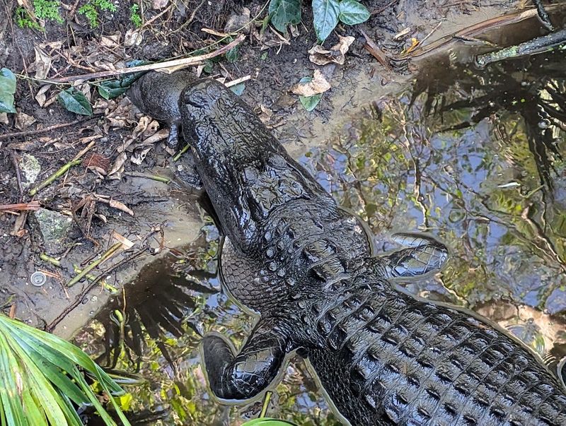 The Nature Center Is Full of Surprises Inside