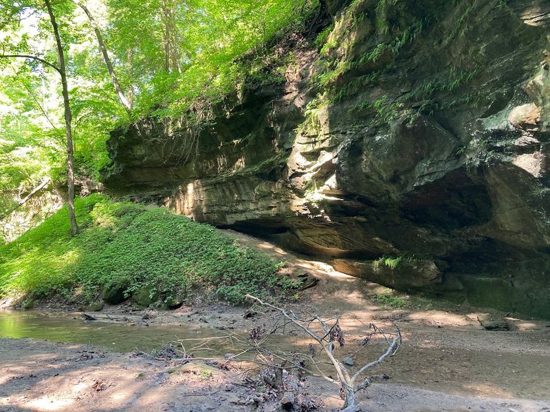 The Nature Center: Where Learning Meets Adventure