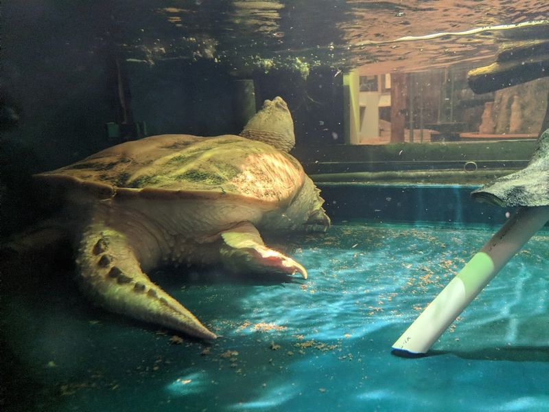 The Nature Center With Live Animals and Fun Exhibits The Nature Center With Live Animals and Fun Exhibits