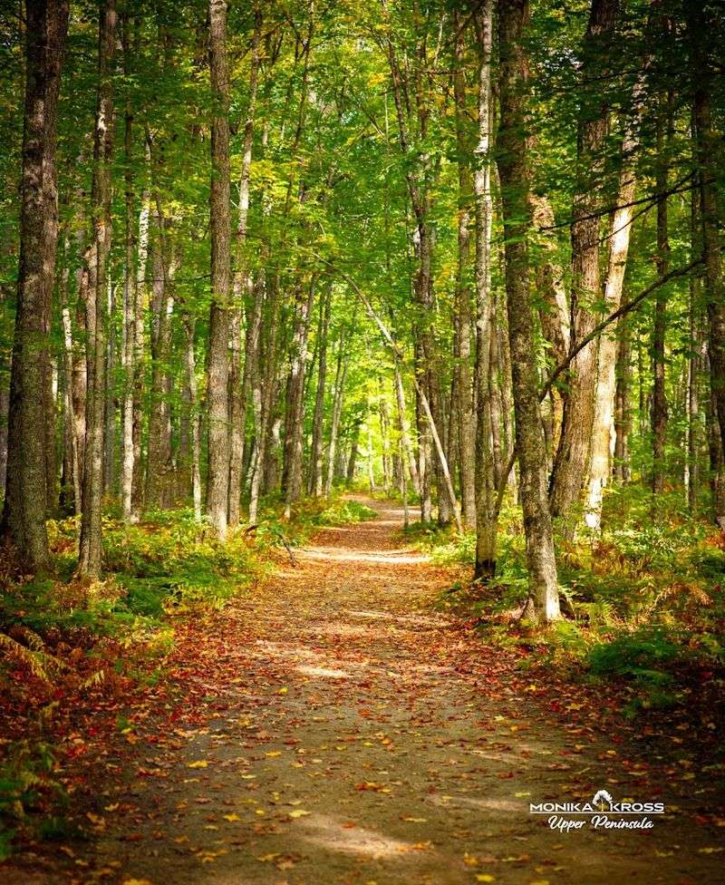 The North Country Trail Connection The North Country Trail Connection