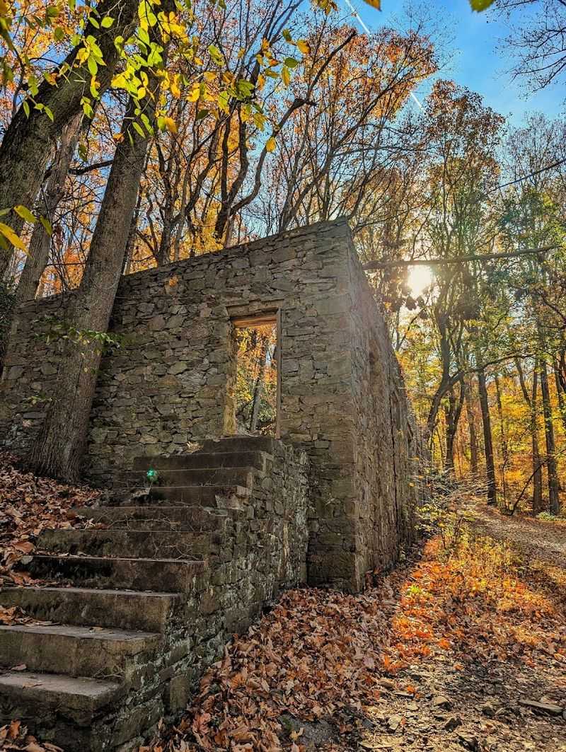 The Origins of Colonial Springs and General Benjamin Franklin Fisher