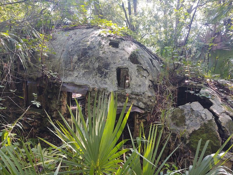 The Origins of the Abandoned Village The Origins of the Abandoned Village
