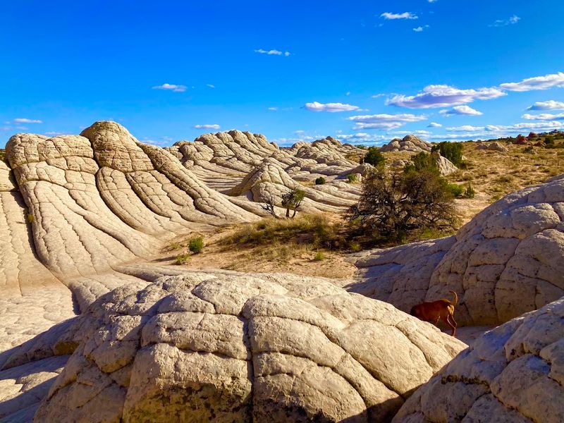 The Otherworldly Sandstone Formations