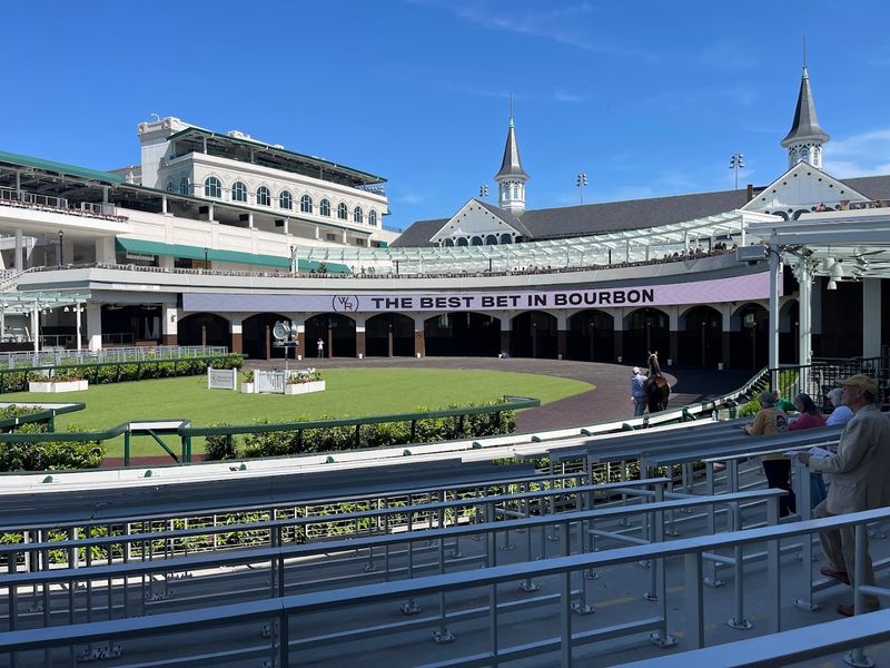 The Paddock Area: Where the Magic Starts Before Every Race