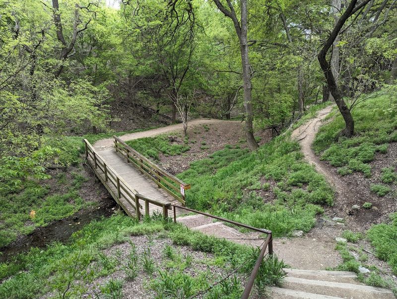 The Park's Surprisingly Family-Friendly Atmosphere