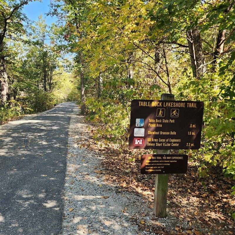 The Paved Hike and Bike Trail Along the Shore