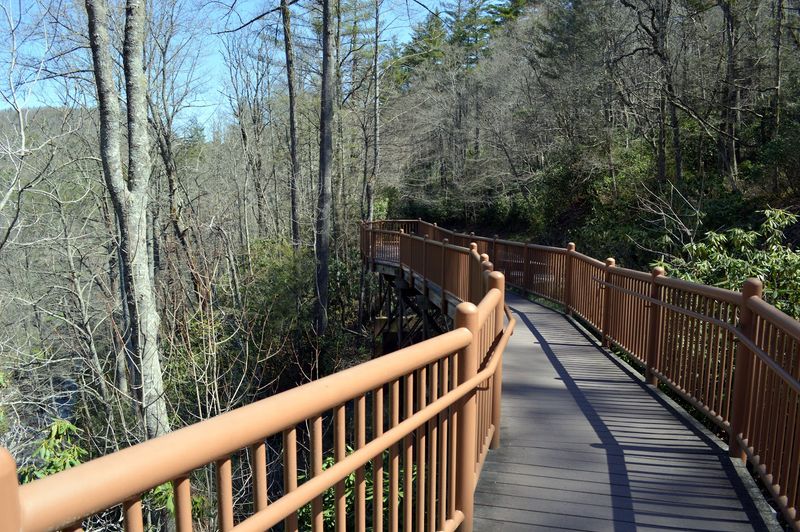 The Paved Pathway: Accessibility for Almost Everyone