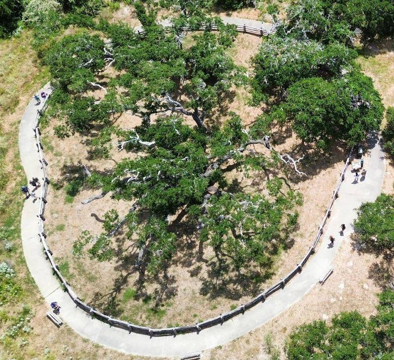 The Paved Walkway: Easy and Accessible for Everyone
