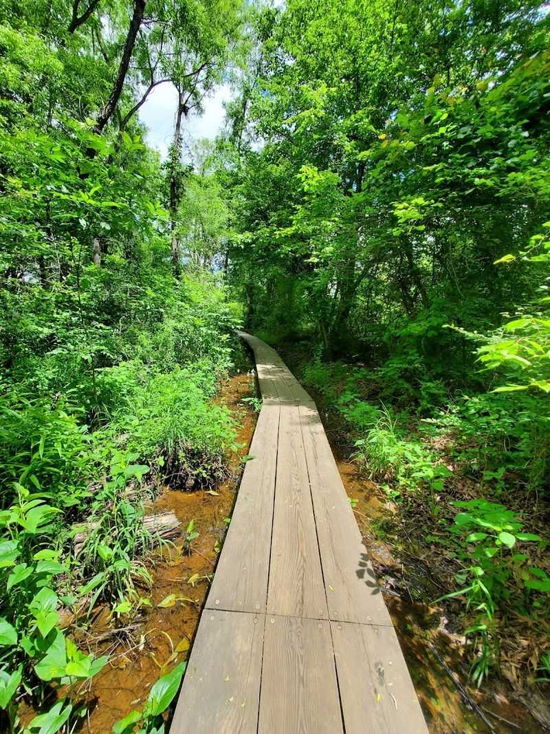 The Peaceful Atmosphere You Did Not Know You Needed