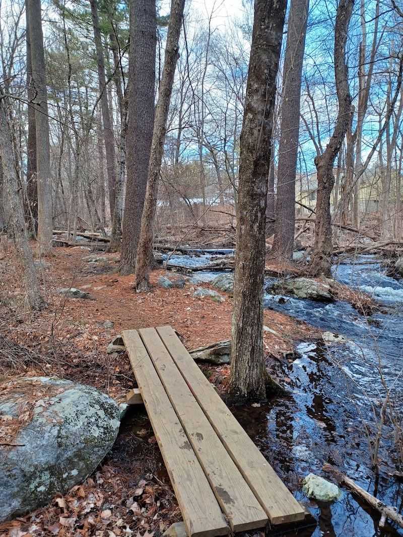 The Peaceful Atmosphere and Mental Health Benefits