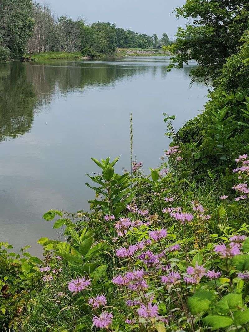 The Peaceful Fishing Spots Along the River